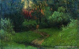 Parcours in het bos Parcours in het bos