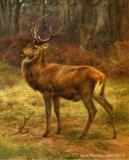 Hert in een herfstlandschap Hert in een herfstlandschap