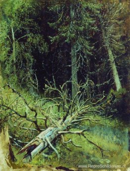 In het dennenbos In het dennenbos