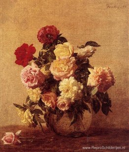 Rozen Rozen