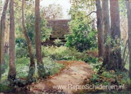 Landschap Landschap