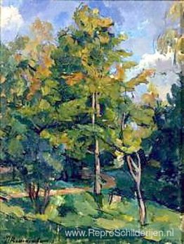 Vergelende esdoorns Vergelende esdoorns