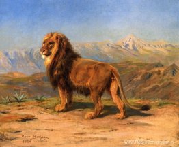 Leeuw in een bergachtig landschap Leeuw in een bergachtig landschap