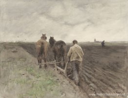 Ploegende boer Ploegende boer