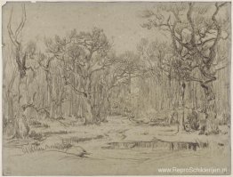 Het bos in de winter Het bos in de winter