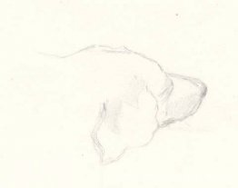 Hoofd van een hond Hoofd van een hond