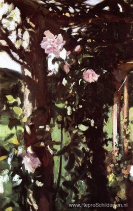 Een rozenlatwerk (rozen in Oxfordshire) Een rozenlatwerk (rozen in Oxfordshire)