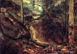 Bergbeek in de Auvergne Bergbeek in de Auvergne