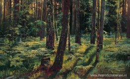 Varens in het bos. Siverskaja Varens in het bos. Siverskaja