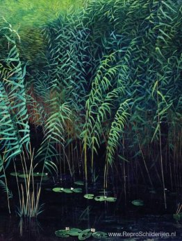 Riet en waterlelies Riet en waterlelies