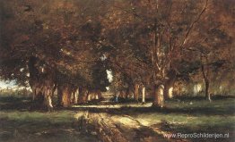 Lijn van bomen Lijn van bomen