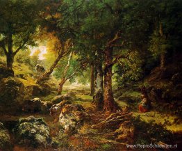 Boslandschap zon Boslandschap zon