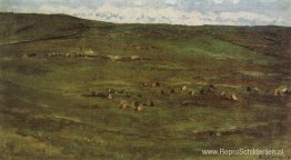 Een kudde paarden in de Baraba-steppen Een kudde paarden in de Baraba-steppen