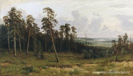 Sparrenbos aan de rivier de Kama Sparrenbos aan de rivier de Kama