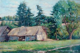 Zomer landschap Zomer landschap