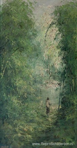 Richting het meer Richting het meer