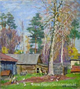 Achtertuin Achtertuin