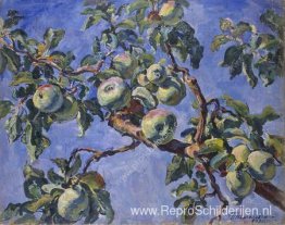 Appels tegen de blauwe lucht Appels tegen de blauwe lucht