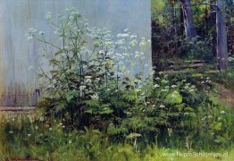 Bloemen bij het hek Bloemen bij het hek