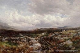 In de buurt van Festiniog In de buurt van Festiniog