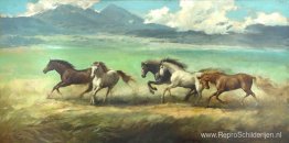 Paarden Paarden