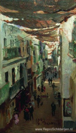 Straat van de Slangen in Sevilla Straat van de Slangen in Sevilla