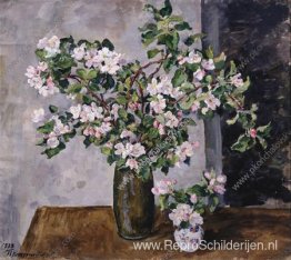 Appeltakjes in bloei Appeltakjes in bloei