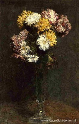 Chrysanten Chrysanten