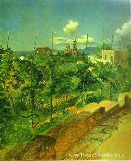 Wijngaard bij Vico Wijngaard bij Vico