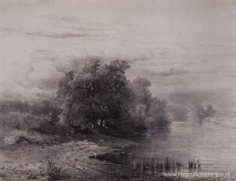 Bomen bij de rivier Bomen bij de rivier