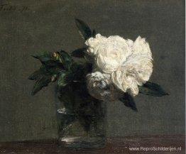 Rozen Rozen