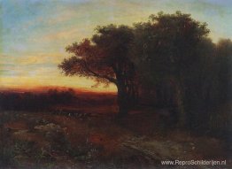 Zonsondergang Zonsondergang