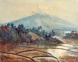 Landschap van rijstveld Landschap van rijstveld