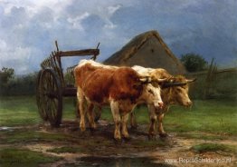 Ossen die een kar trekken Ossen die een kar trekken