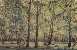 Berkenbos Berkenbos