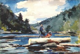 Hudson rivier, houtkap Hudson rivier, houtkap