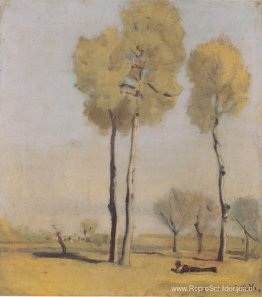 Spaans landschap Spaans landschap