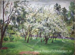 Tuin in bloei Tuin in bloei