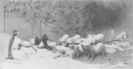 Circe en haar varkens Circe en haar varkens