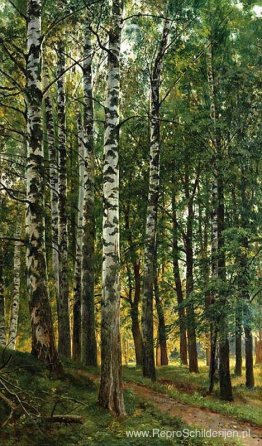 Berkenbos Berkenbos