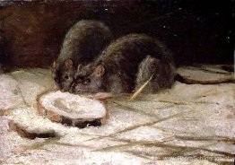 Twee ratten Twee ratten