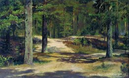 Dennenbos Dennenbos