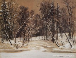 Bos in de winter Bos in de winter