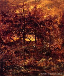 Val in Jean-du-Paris, in het bos van Fontainebleau Val in Jean-du-Paris, in het bos van Fontainebleau