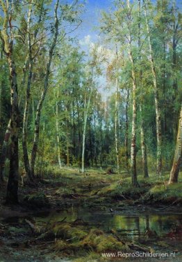 Berkenbos Berkenbos