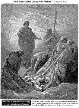 De wonderbaarlijke visvangst De wonderbaarlijke visvangst