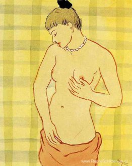 Kiezelsteen Kiezelsteen