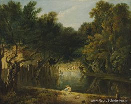 Uitzicht op de wildernis in St. James's Park Uitzicht op de wildernis in St. James's Park