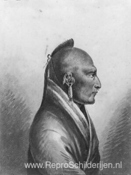 Het hoofd van de Kleine Osages Het hoofd van de Kleine Osages