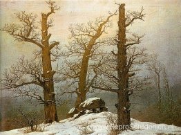 Winterlicht Winterlicht